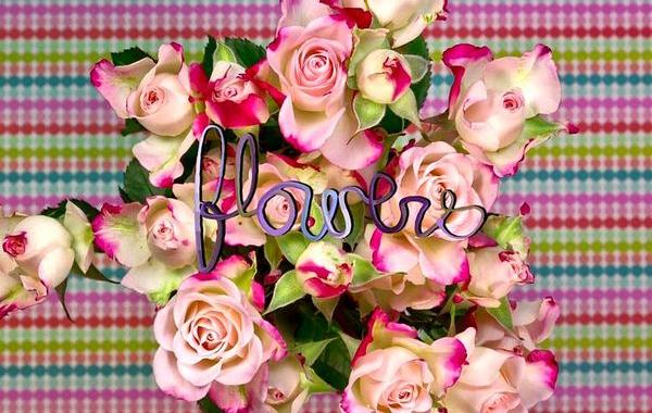 цветение цветов, цветы распускаются в замедленной съемке, распускающиеся цветы, цветы распускаются видео, Томас Бланчард, Thomas Blanchard