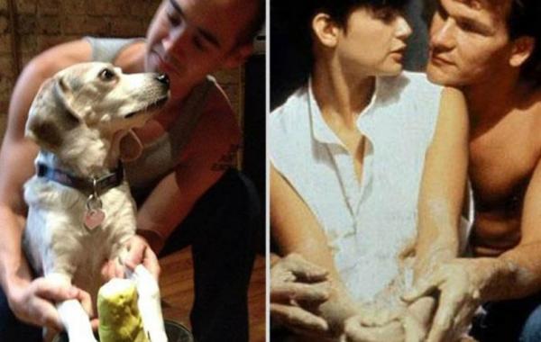 Парень и его собака повторяют романтические сцены культовых фильмов, Reddit, MMSSPP