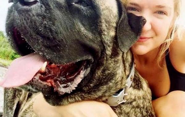 списко желаний умирающей собаки, хозяйка составила список желаний для умирающей собаки, мастиф Жизель, рак кости у собаки