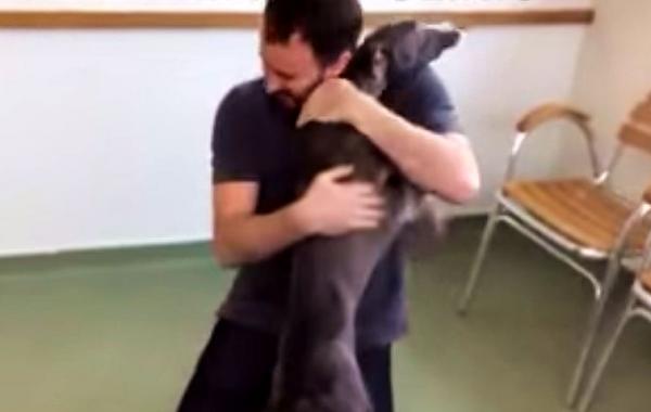 радость украденной собаки, украденная собака встретила хозяина, украденная собака встретилась с хозяином, радость украденной собаки после встречи с хозяином, 