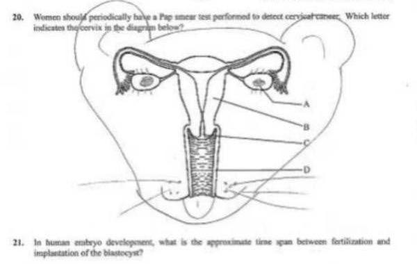 смешные дорисовки к учебникам, смешные рисунки в учебниках, студенты рисуют в учебниках, рисунки студентов в учебниках