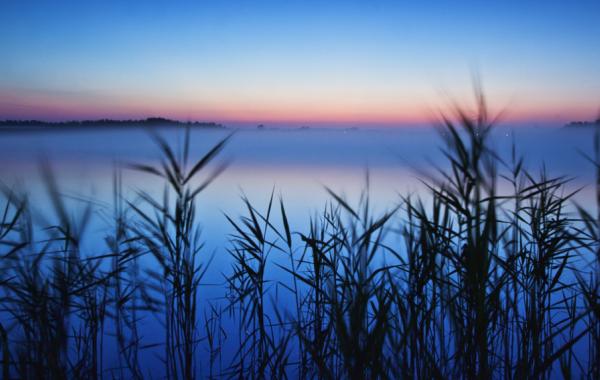 Пейзажи от фотографа Ильи Мельникова