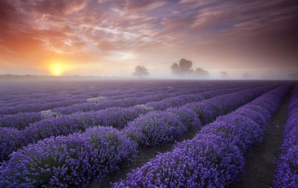 Яркие и умиротворенные пейзажи от фотографа Antony Spencer