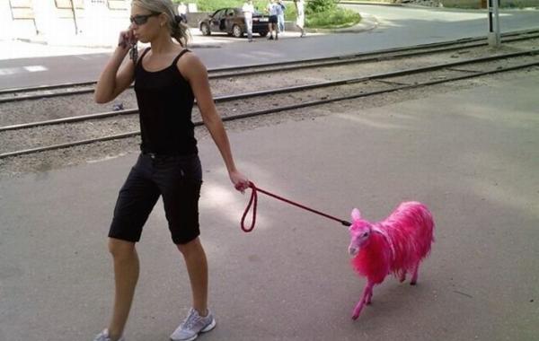 Тем временем в разных странах мира