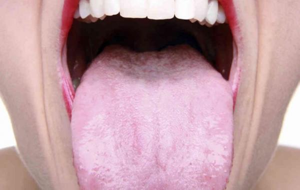 познавательные факты, а вы знали что, спорим вы не знали