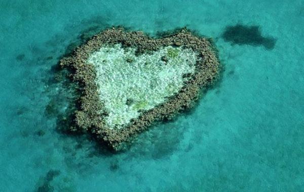 Сердца планеты или от природы с любовью