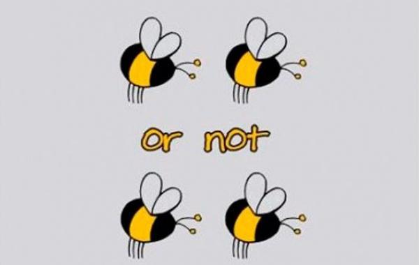 ляпы переводчиков, трудности перевода, неправильный перевод