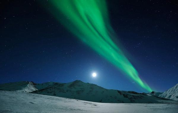Международный конкурс фотографии от журнала Smithsonian