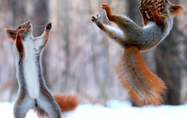 без использования фотошопа за февраль 2015, снимки сделанные без фотошопа 