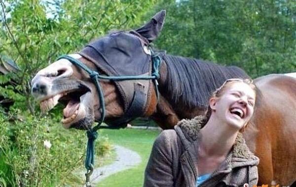 в нужный момент поймать кадр лови момент