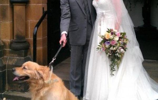 7 неудачных медовых месяцев медовый месяц несчастный случай 