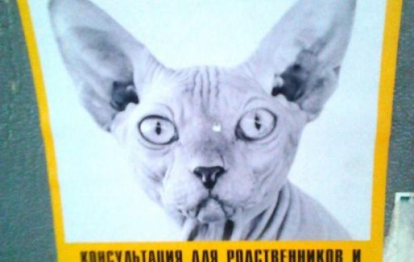 смешные надписи, объявления, маразмы