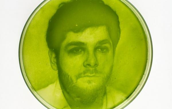 Удивительные фотографии, сделанные при помощи водорослей