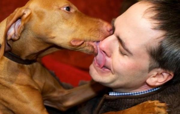 21 способ, которыми собаки могут показать, что любят своего хозяина больше всего на свете