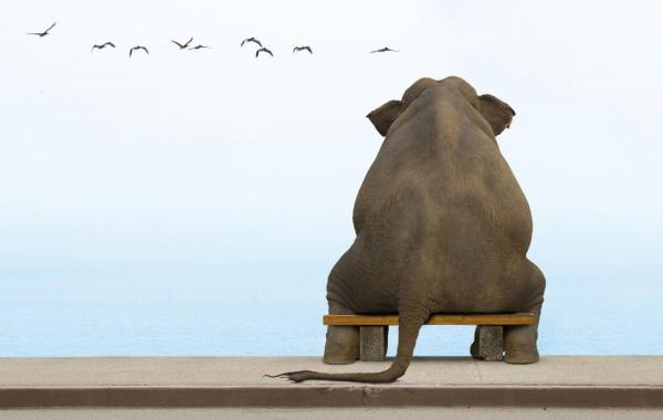 мыли которым нет места в новом году, негативные мысли, позитивное мышление