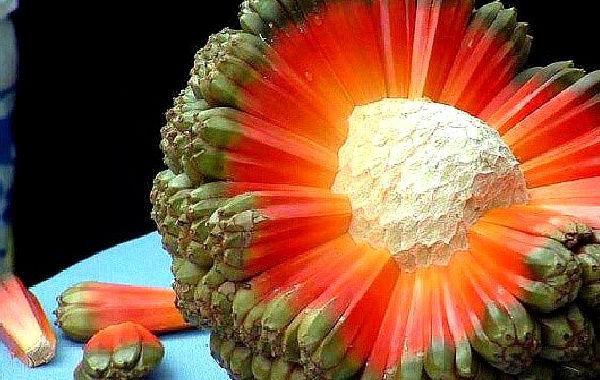 экзотические фрукты, редкие фрукты