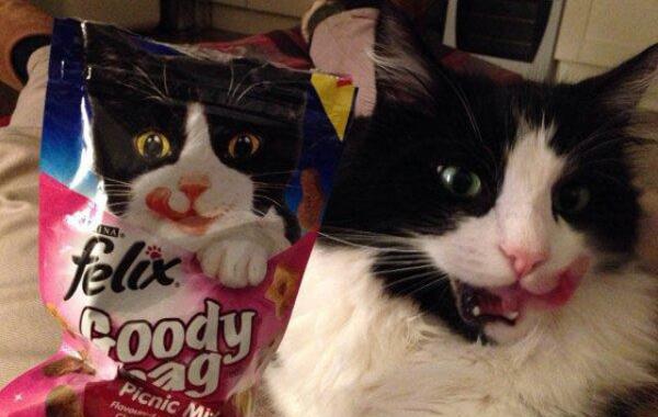 Смешные случаи и удивительные совпадения