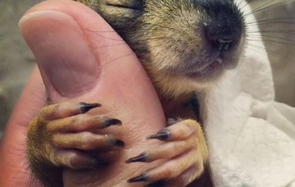 Трогательные моменты, способные растопить даже самое холодное сердце 