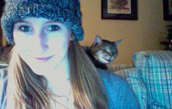 Злые коты планирующие убить хозяина