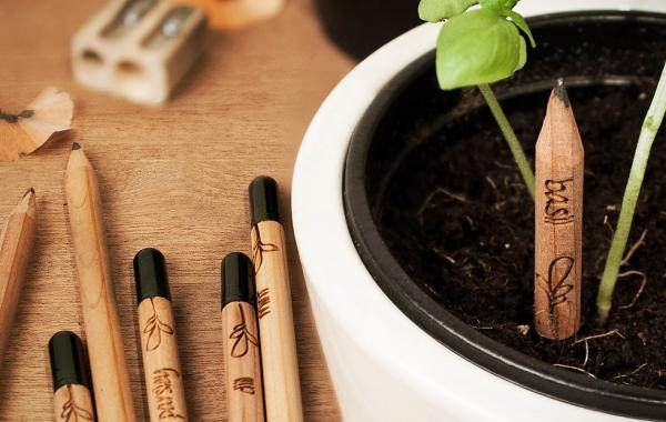 Карандаши "Sprout", из которых можно вырастить растение