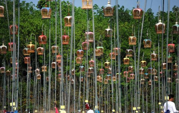 Конкурс певчих птиц в Таиланде