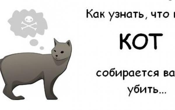 Забавные небылицы. Как определить,что ваш кот хочет вас убить?