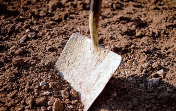 Истории о людях, похороненных заживо