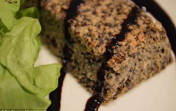 блюда из личинок, личинки мух, исландский студент, fly factory