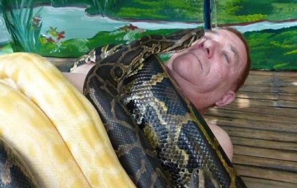Змеиный массаж от четырех огромных питонов