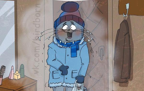 10 причин любить зиму, Bird Born