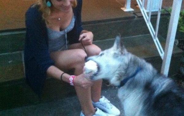 Последний счастливый момент в жизни собаки, перед тем как её усыпили