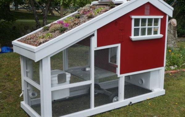 Самый роскошный курятник в мире, в котором и самому не грех пожить