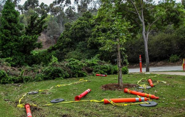 Как стал выглядеть парк, после "охоты за сокровищами"