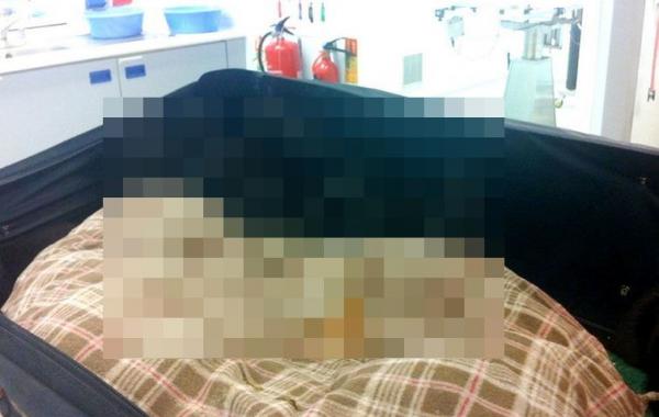 Удивительная находка внутри подброшенного чемодана