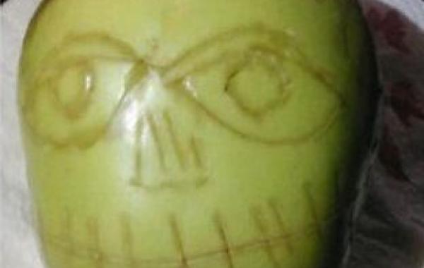 Очумелые ручки: делаем сушеную голову тсантса своими руками из яблока