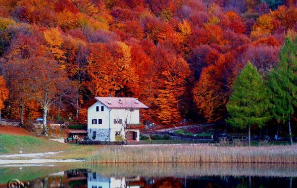 30 красивейших природных мест, окрашенных в золотые цвета осени