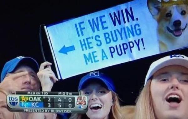 обещал купить девушке щенка, если победим купит щенка, обещал купить щенка если команда победит