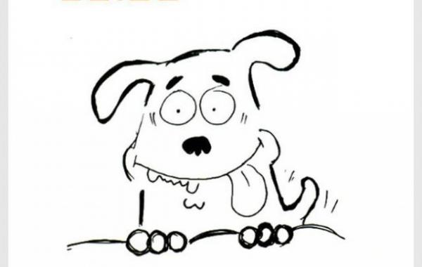 обычный день из жизни каждой собаки