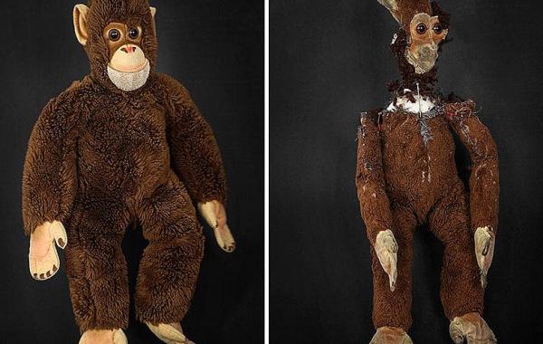 Слишком много любви,старые потрёпанные игрушки и их двойники, Катя Кемнитц, Katja Kemnitz 