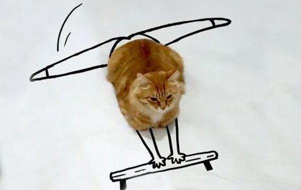 дудлокот, подрисовали коту смешное, конкурс подрисовать коту, попросили подрисовать кошке