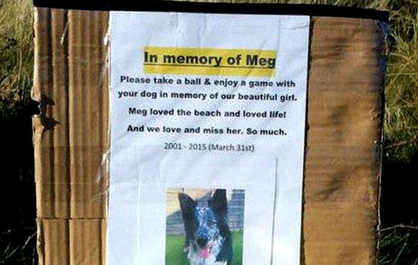 мемориал на пляже для собаки, мемориал на пляже в память о собаке, мемориал о собаке теннисные мячи