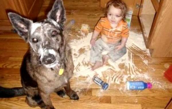 маленькие хулиганы, дети шалят, дети балуются 