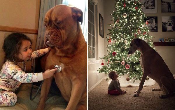 ребёнок и собака, ребёнок с собакой