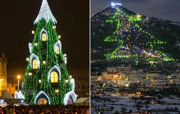 рождественские ёлки со всего мира, самые необычные рождественские ёлки со всего мира