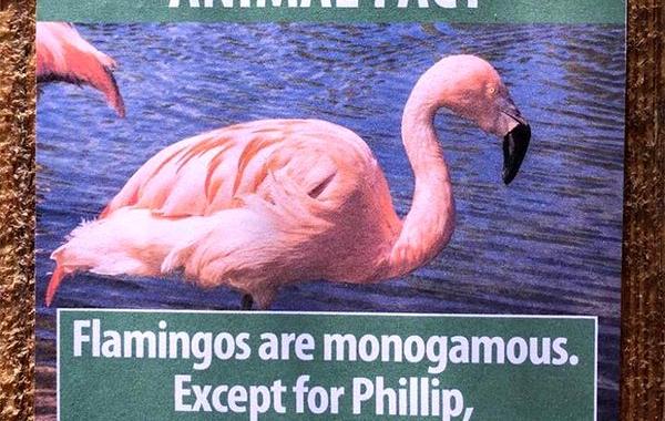 Джефф Высаски, Jeff Wysaski, придумал факты о животных, заменил фейковыми фактами о животных таблички в зоопарке