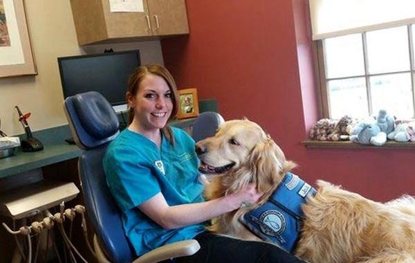 собака у стоматолога, собака помогает стоматологу, собака стоматолог успокоить пациентов