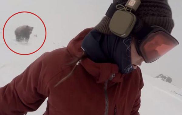 сноубордистка в наушниках медведь, девушка в наушниках не заметила медведя сноуборд, Келли Мёрфи, Kelly Murphy, медведь сноубордистка фейк