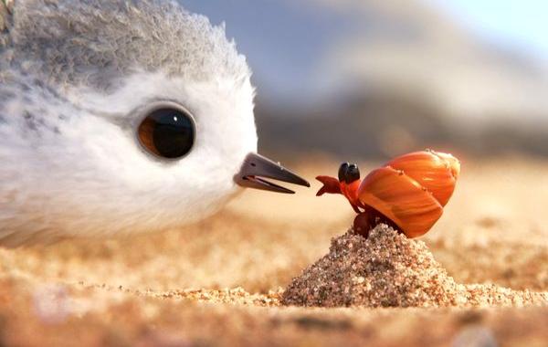 Piper, Piper Pixar, короткометражный мультфильм Piper