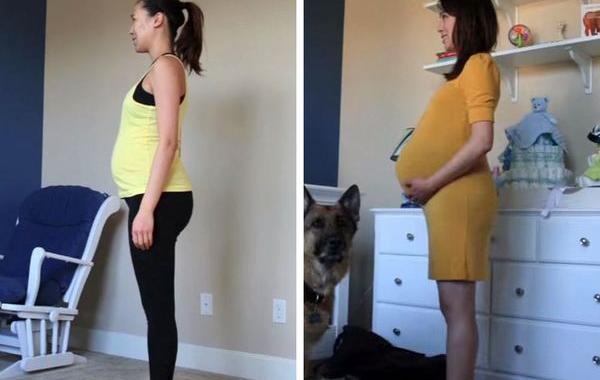 От зачатия до рождения ребёнка за 60 секунд