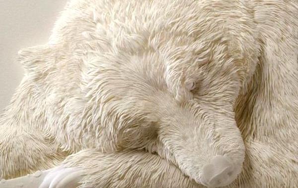 животные из бумаги, искусство из бумаги